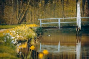 Ein Teich mit Enten, gelben Blumen und einer wei&szlig;en Br&uuml;cke &ndash; eine ideale Hochzeitslocation in einer Waldgegend.