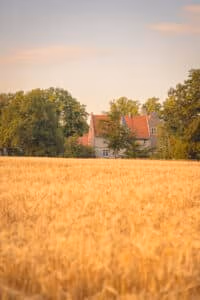 Firmeneventlocation 8 Steinhaus mit rotem Dach in der Nähe von Münster, perfekte Hochzeitslocation hinter goldenem Weizen bei Sonnenuntergang.