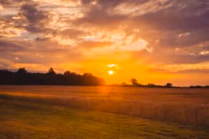 Firmeneventlocation 11 Sonnenuntergang über einem Feld bei Münster – ideal für Firmenevents mit Bäumen am Horizont.